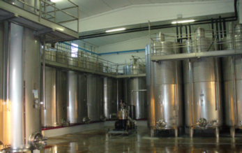 Ferraia Winery 18.jpg