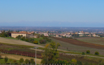 Ferraia Winery 37.jpg