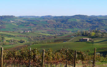 Ferraia Winery 39.jpg